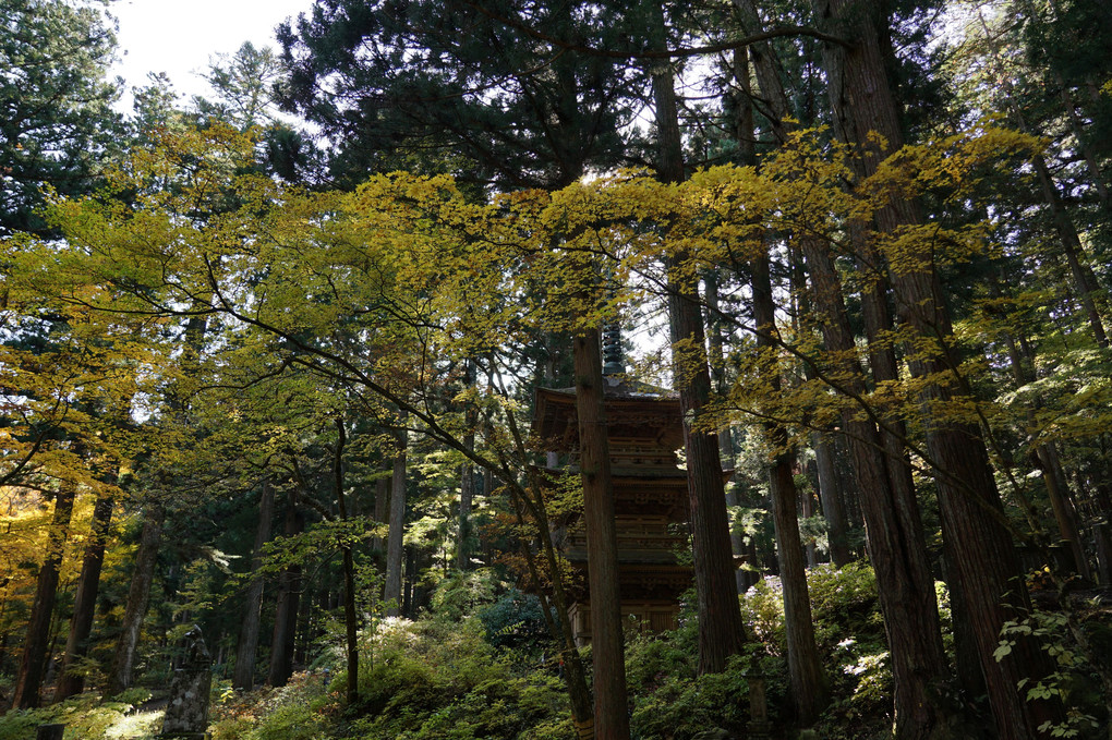 秋の光前寺