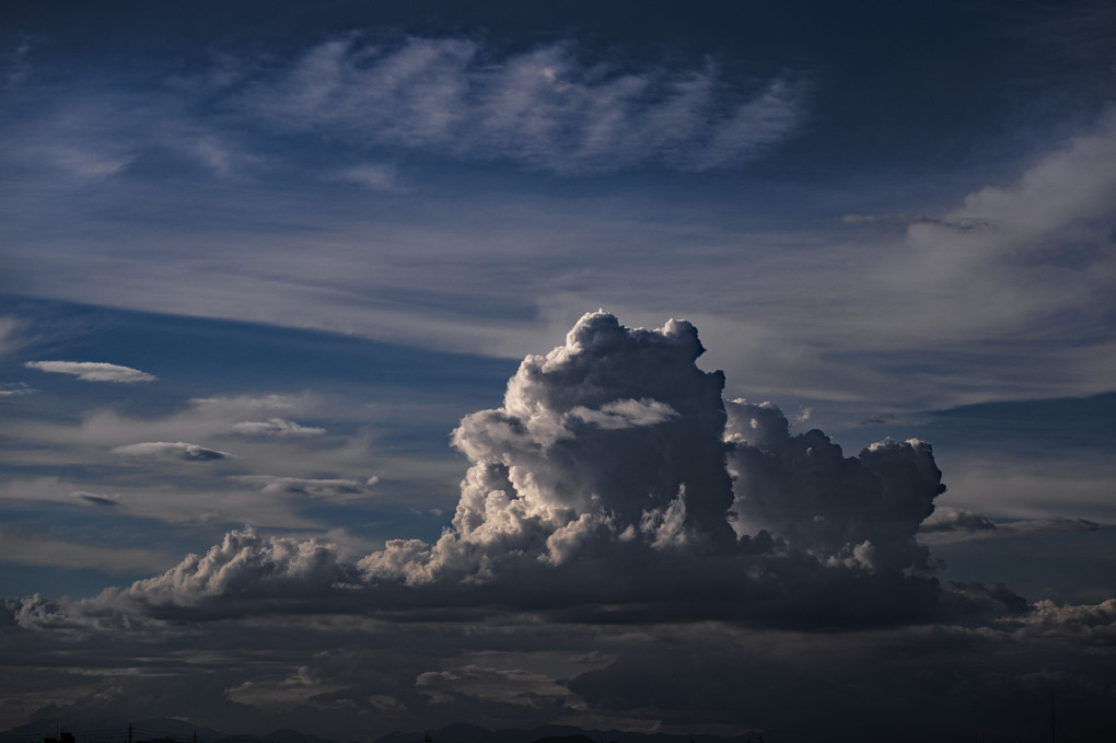 カエル雲に乗る