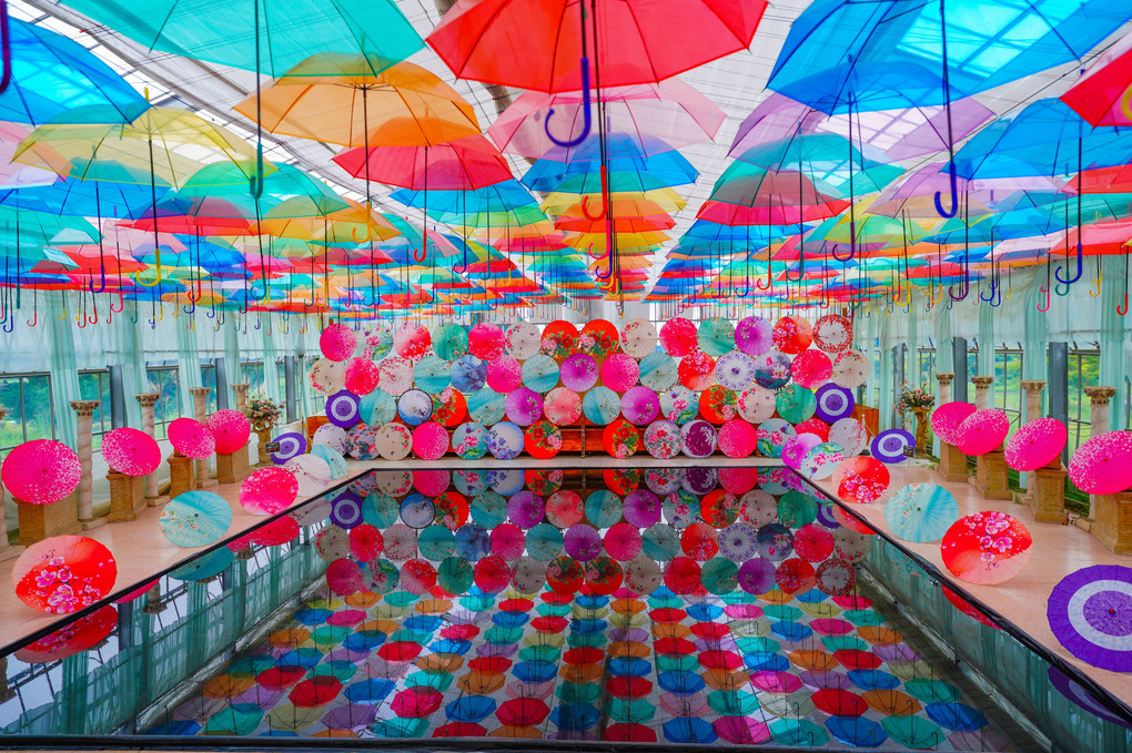 Various umbrellas