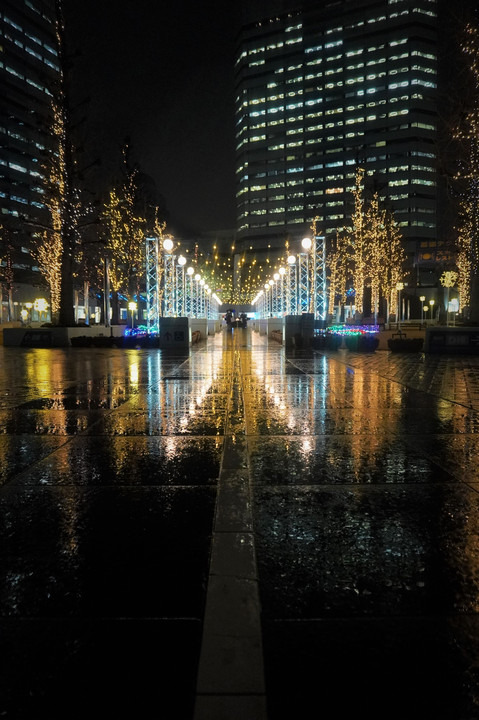 冬の雨上がり