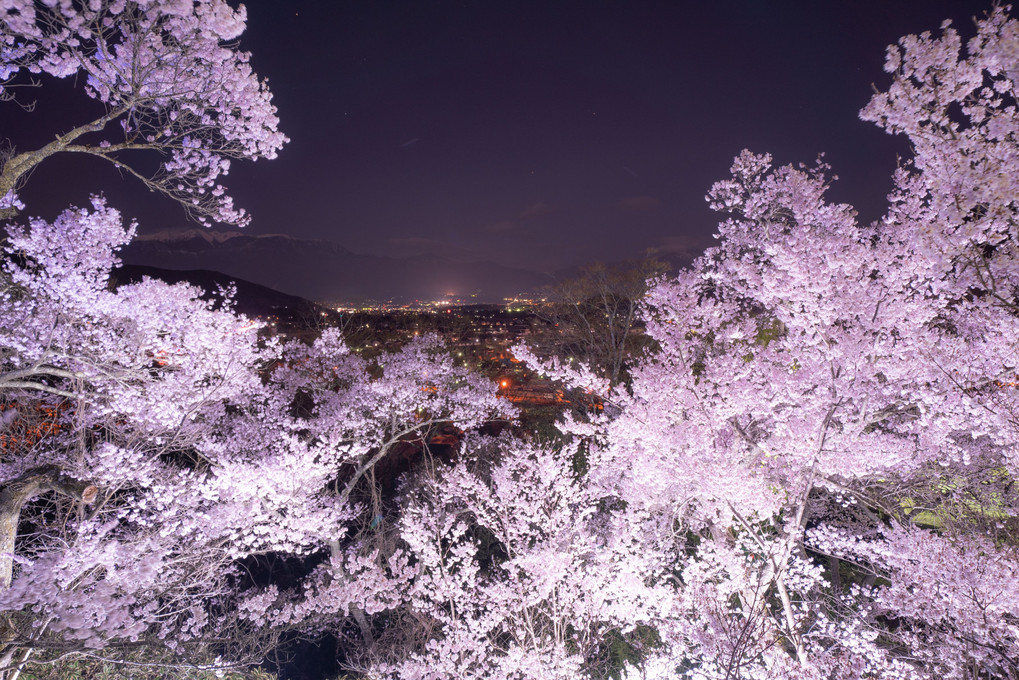 桜と夜景とうっすら中央アルプス