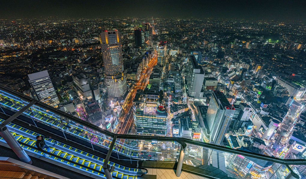 View from Shibuya-sky