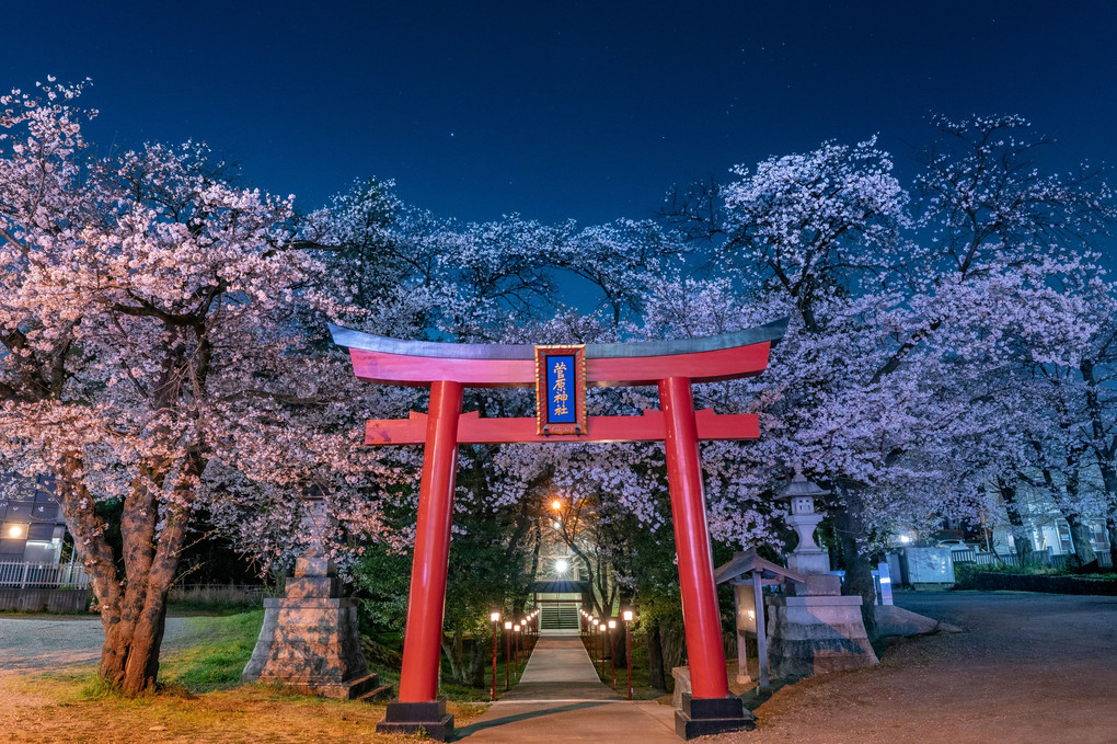 春の宵ｰ菅原神社