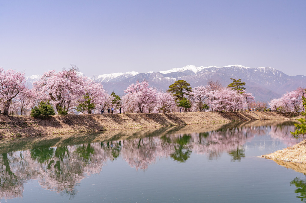 桜遠征（4）長野　六道の堤