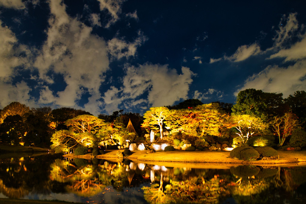 六義園 紅葉ライトアップ