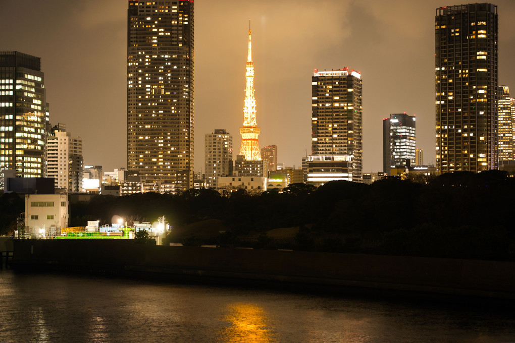 隅田川の屋形船・東京タワー・鳥