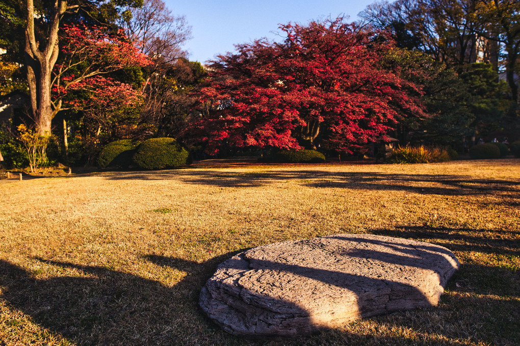 六義園の紅葉