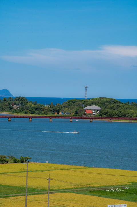 夏の由良川