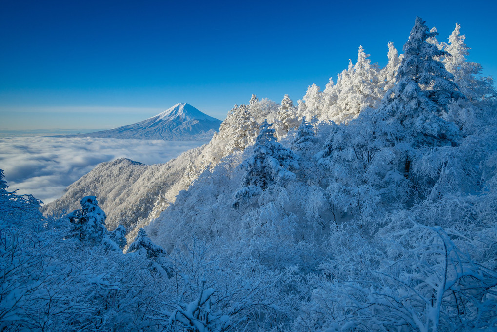 雪の三つ峠山