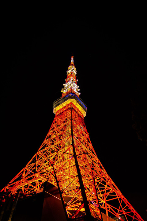 東京タワー 2019年夏