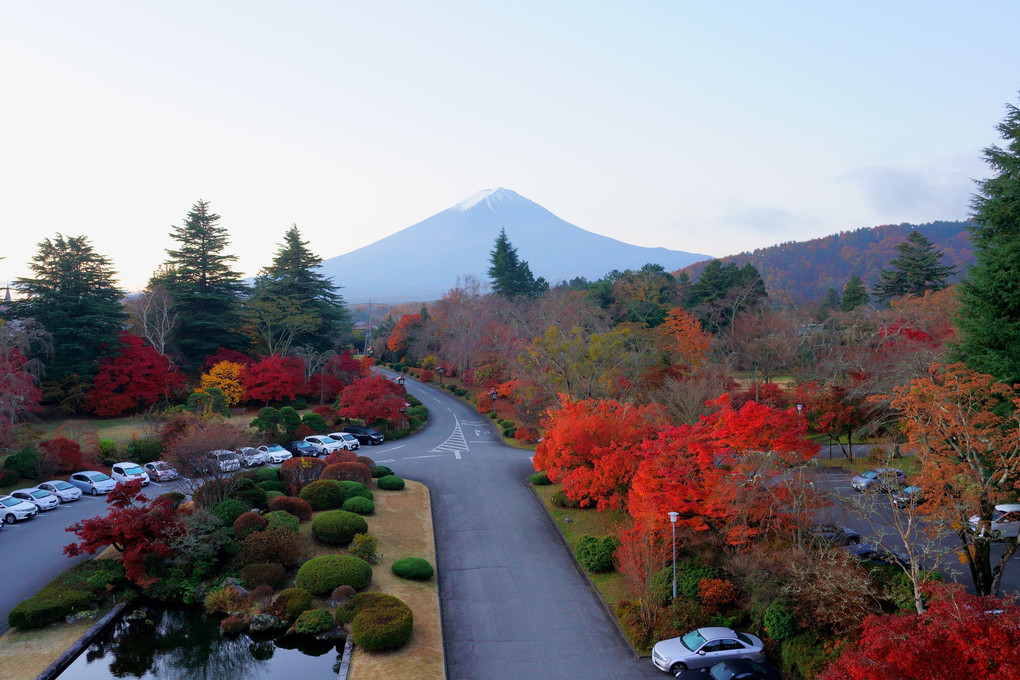 紅葉の朝富士