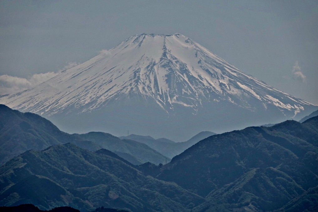 私の令和初の富士山