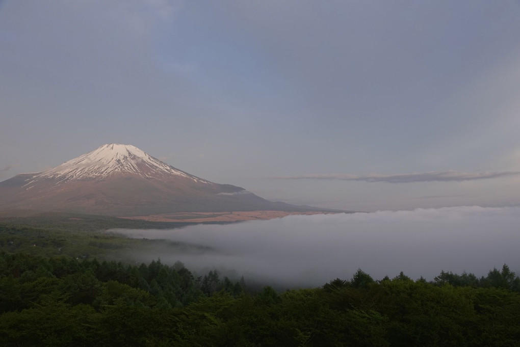 富士山と雲海