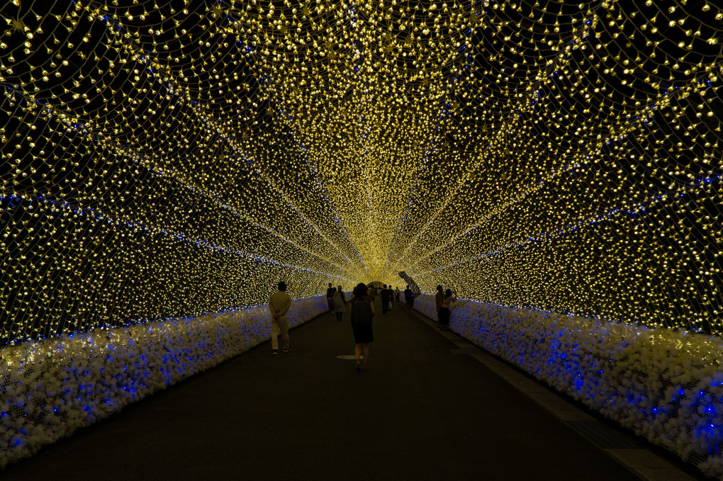 夏の夜のイルミネーション