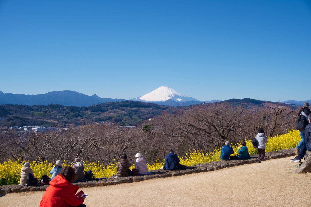 吾妻山の頂上でくつろいでいます。