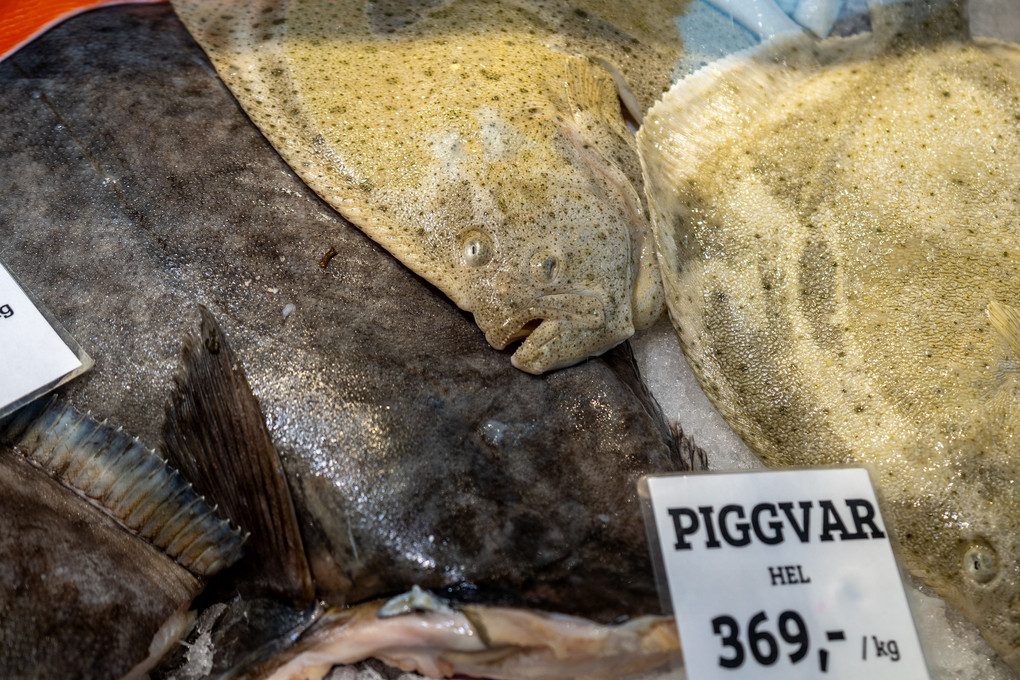 ノルウェー　ベルゲン　魚市場