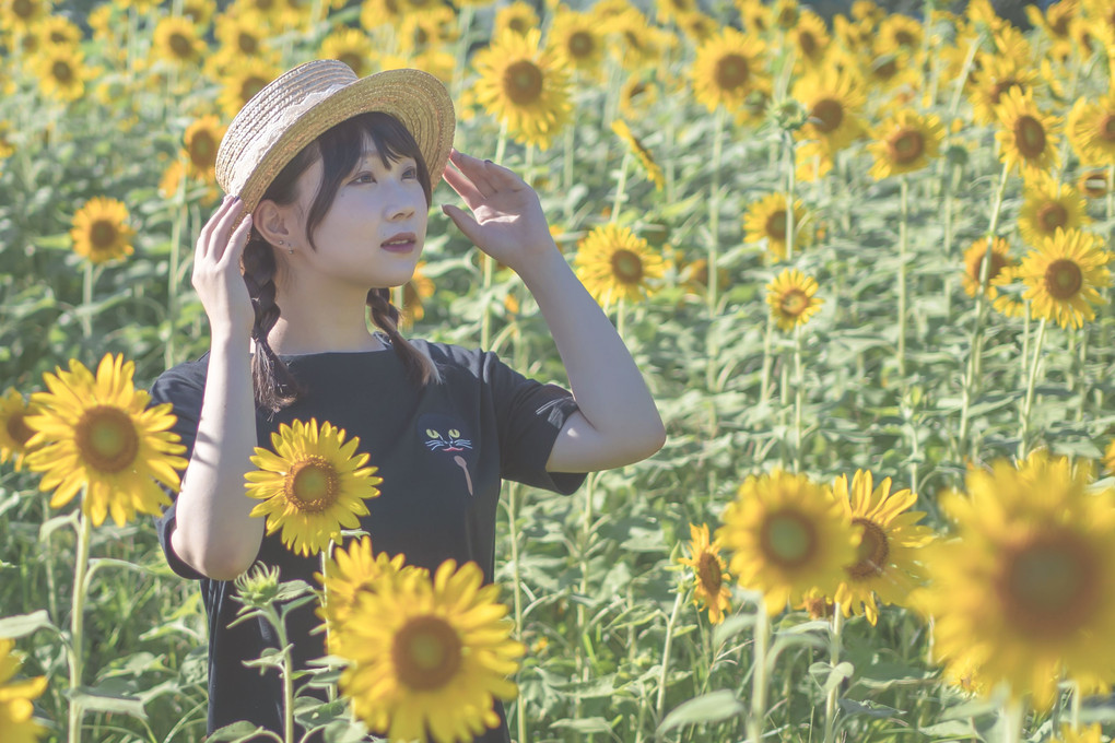 麦わら帽子と夏の色