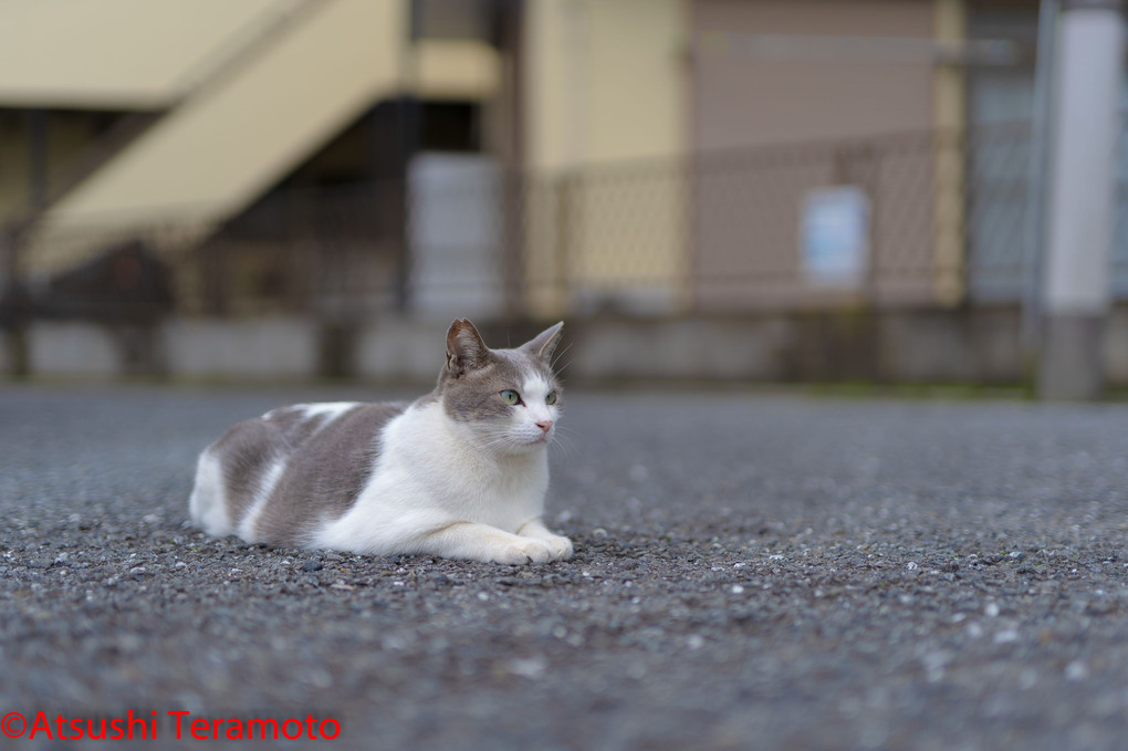 パトロール中の休息