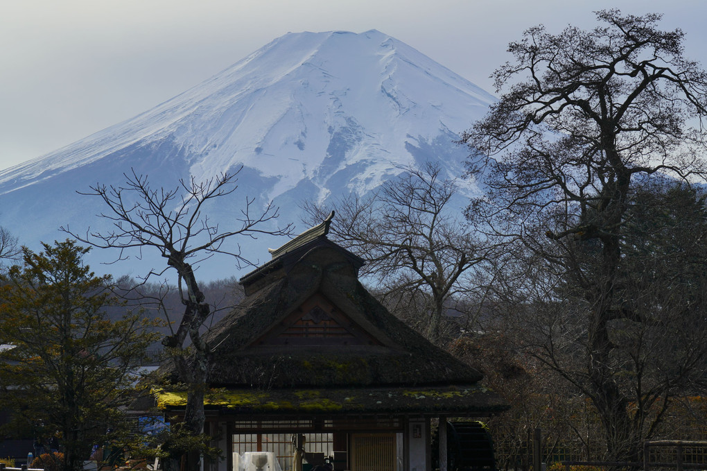 忍野八海での富士山