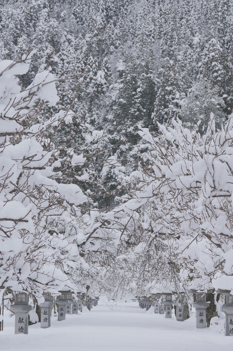 雪景色の伊香具神社