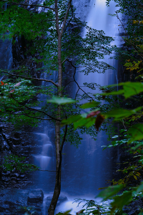 森を守る妖艶の滝