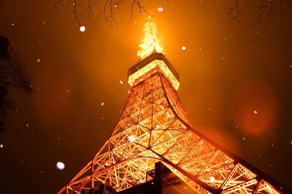 小雪舞う東京タワー
