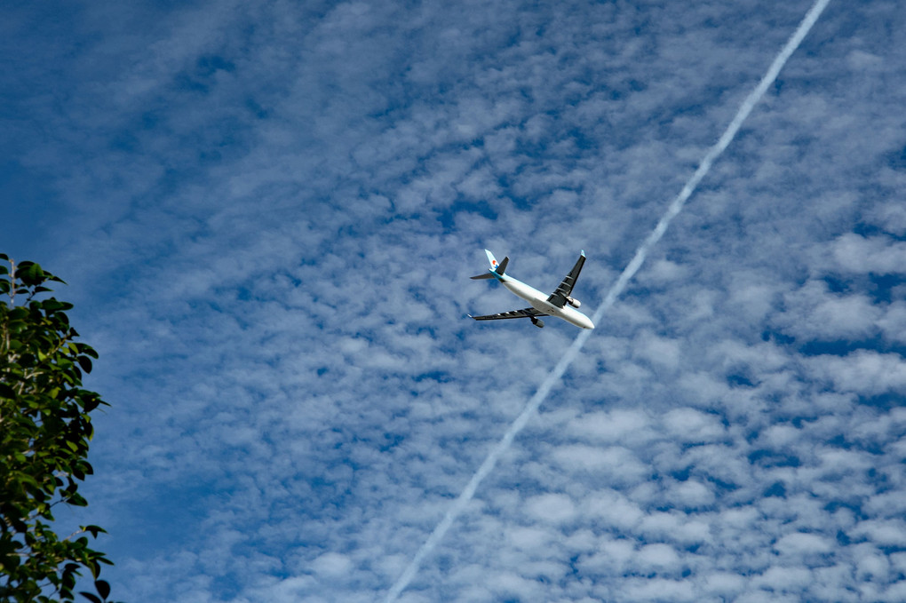 ヒコーキ雲と飛行機
