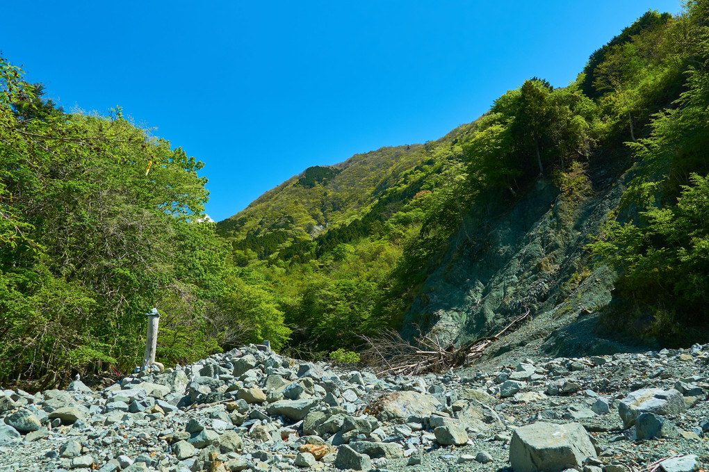 丹沢同角山稜檜洞丸登山