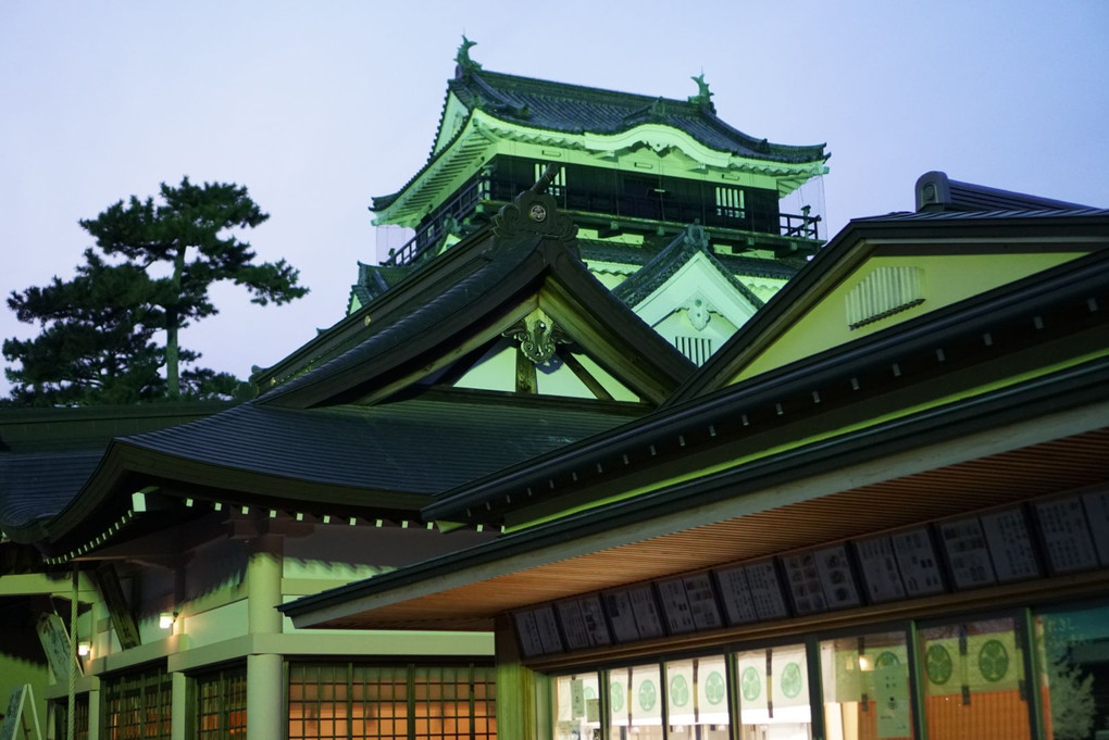 日没後の岡崎城