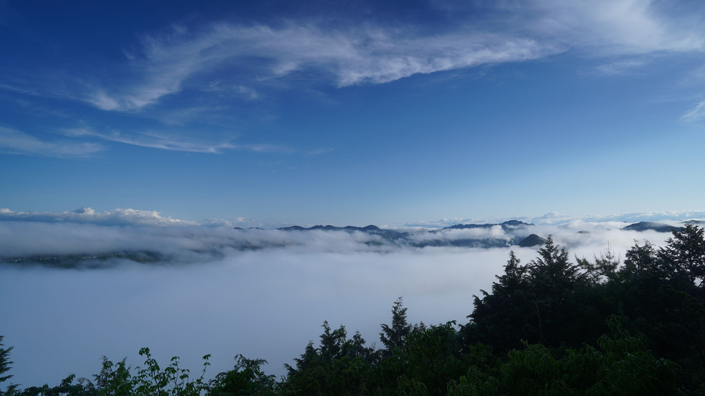 標高245ｍｍから見る雲海
