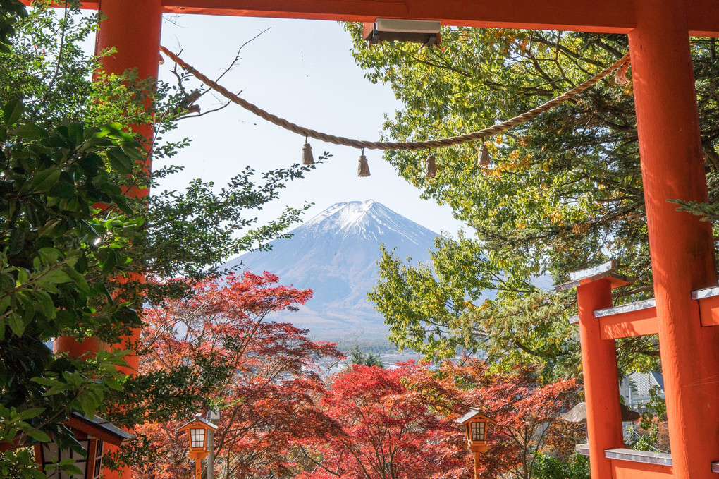 富士山の近くへ