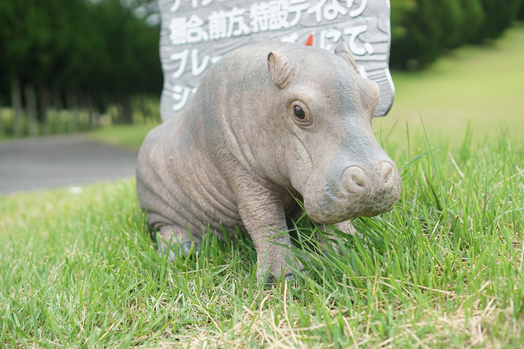 かばさんいろいろ