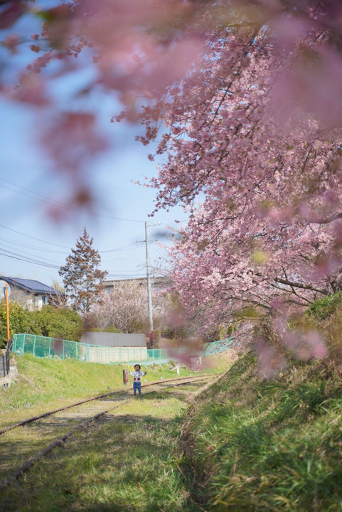 廃線ホームにて