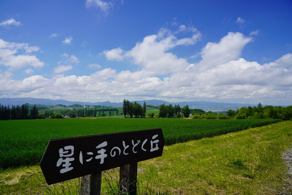 星に手のとどく丘