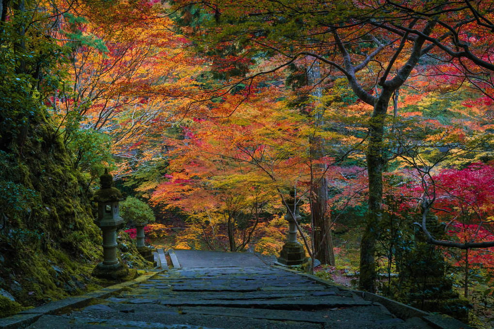 秋深まる「京都」