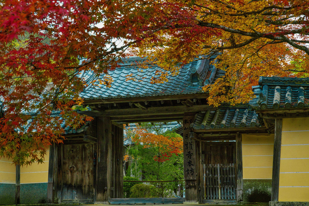 秋深まる「京都」