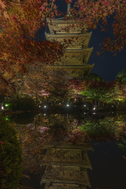 東寺の夜