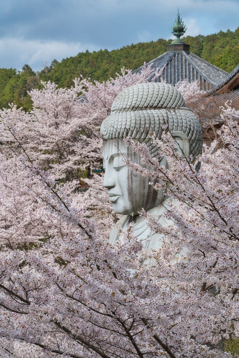 壷坂寺の・・・