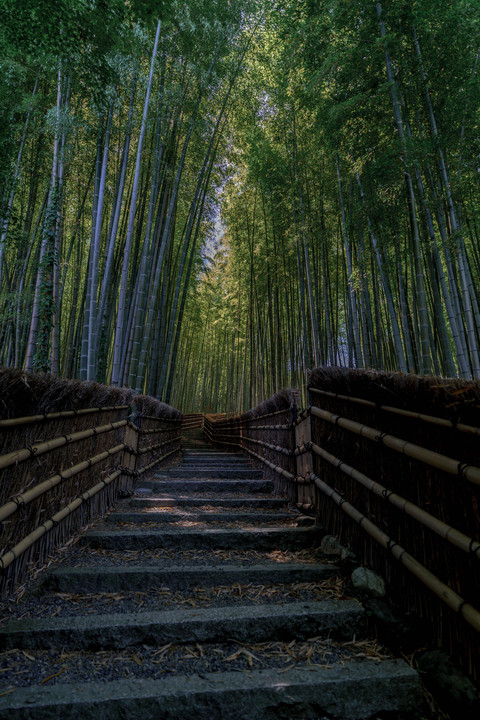 あだし野念仏寺