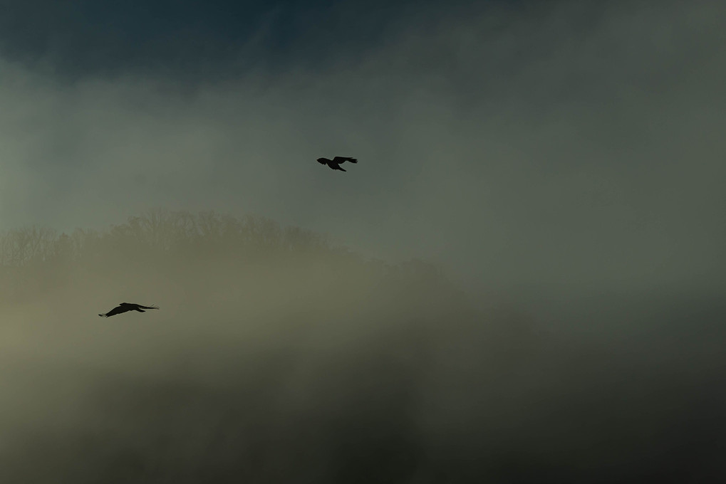霧と毛嵐の朝