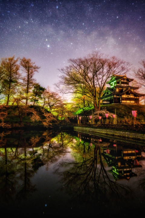 高田城址公園の夜桜と天の川🌌