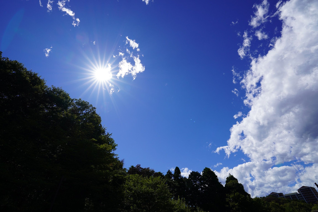 夏空