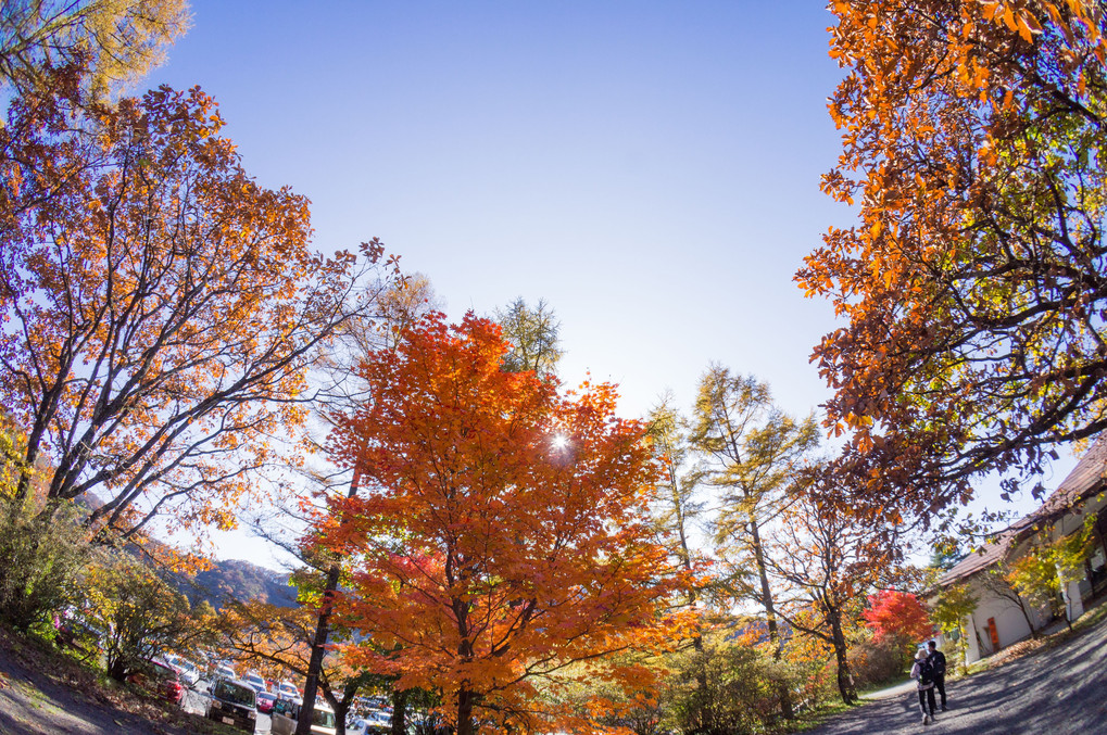 榛名湖の紅葉