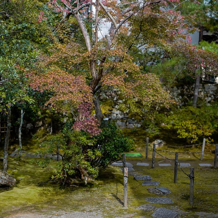 秋の始まり京都