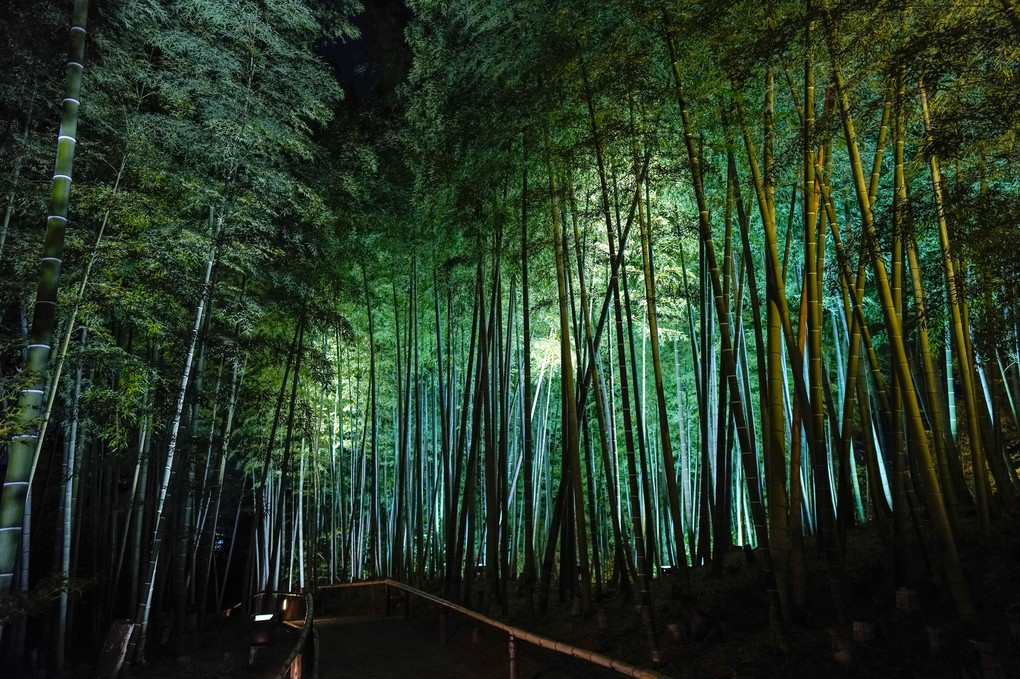 高台寺