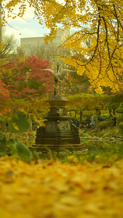 日比谷の紅葉狩り