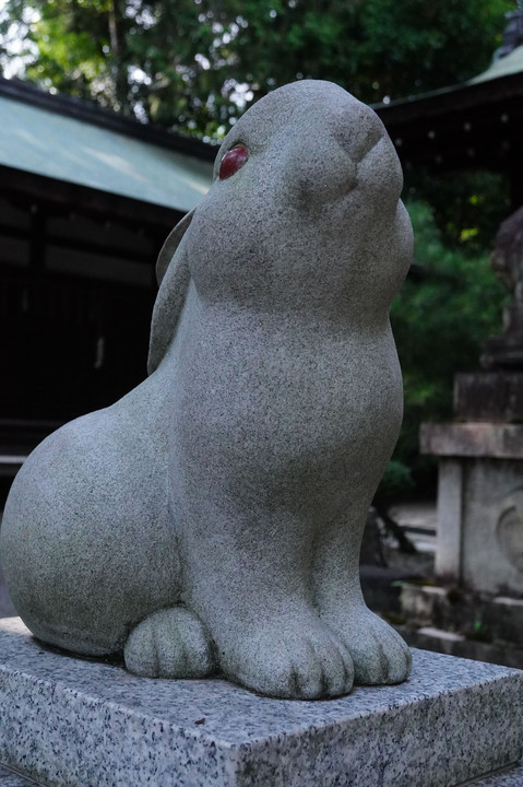 ｳｻｷﾞ好きの私…念願のｳｻｷﾞ神社(岡崎神社)へ!
