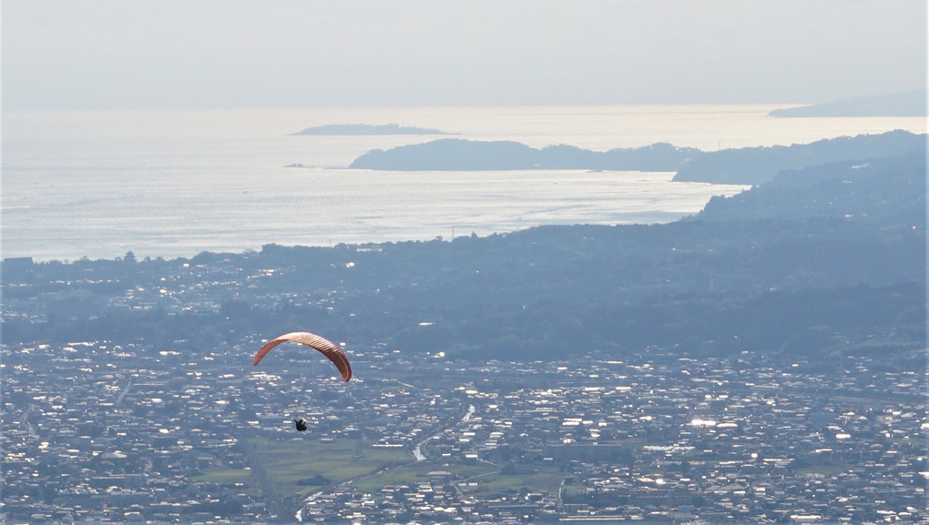 大空を舞う