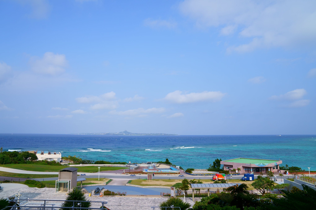 沖縄の思い出