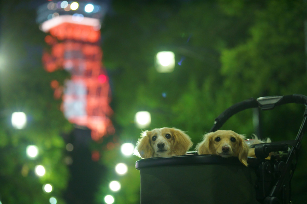 芝公園